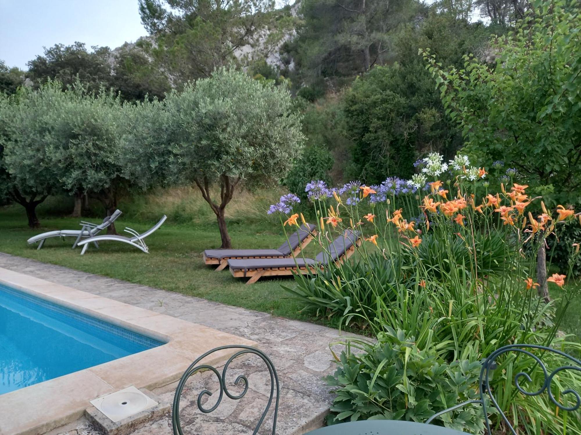 La Roulotte Du Petit Paradis Saint-Rémy-de-Provence Exteriör bild