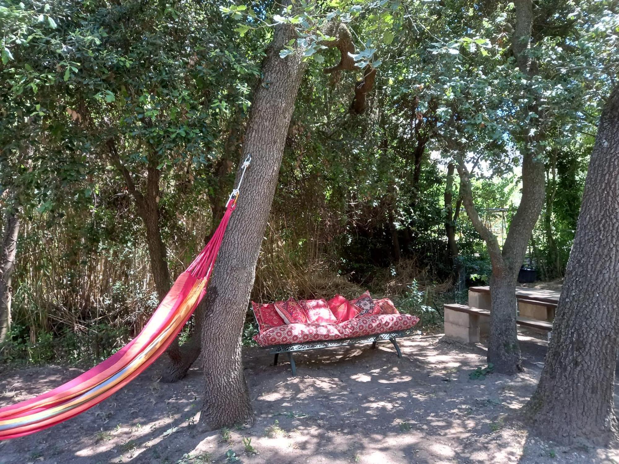 La Roulotte Du Petit Paradis Saint-Rémy-de-Provence Exteriör bild