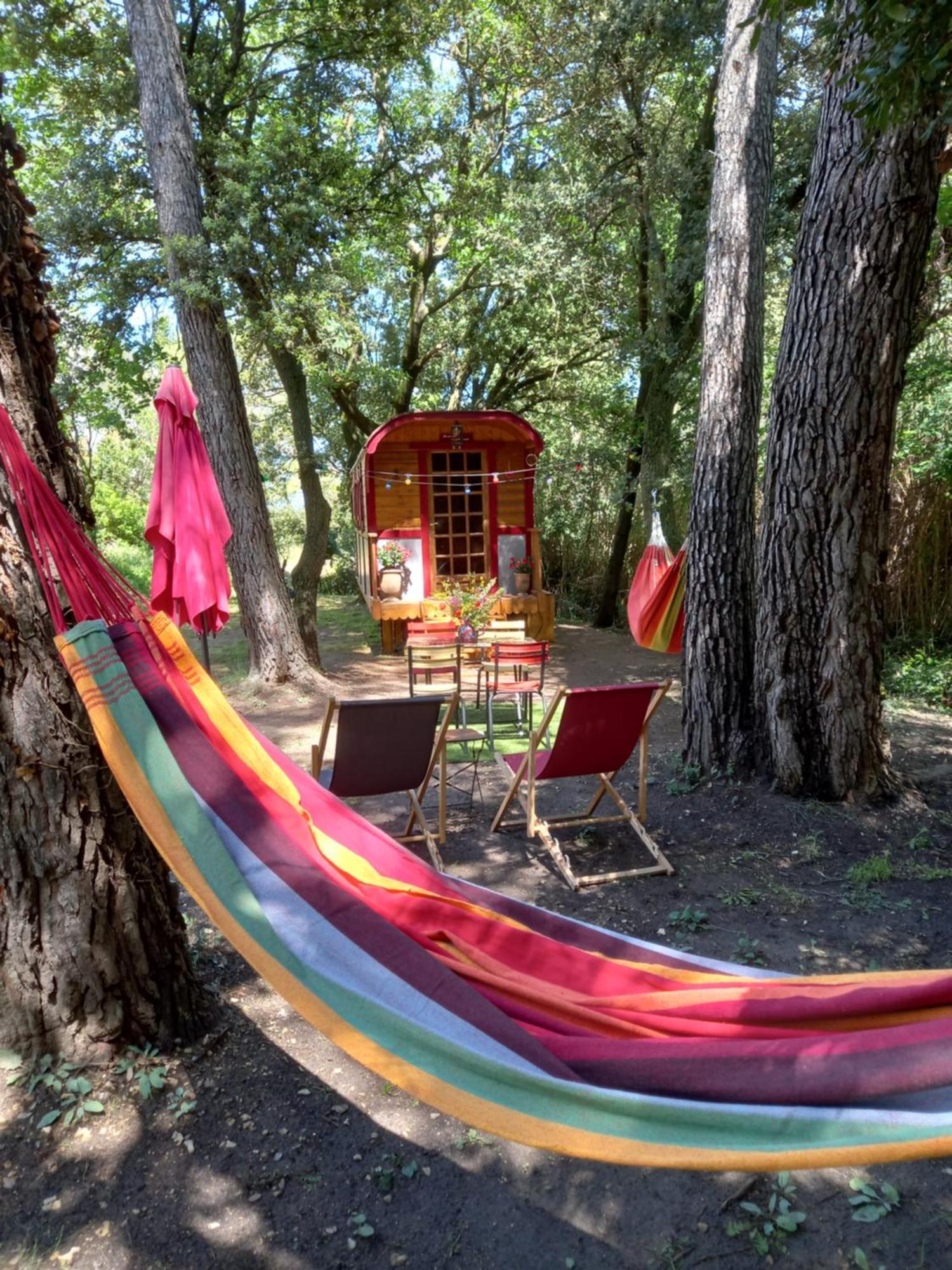 La Roulotte Du Petit Paradis Saint-Rémy-de-Provence Exteriör bild