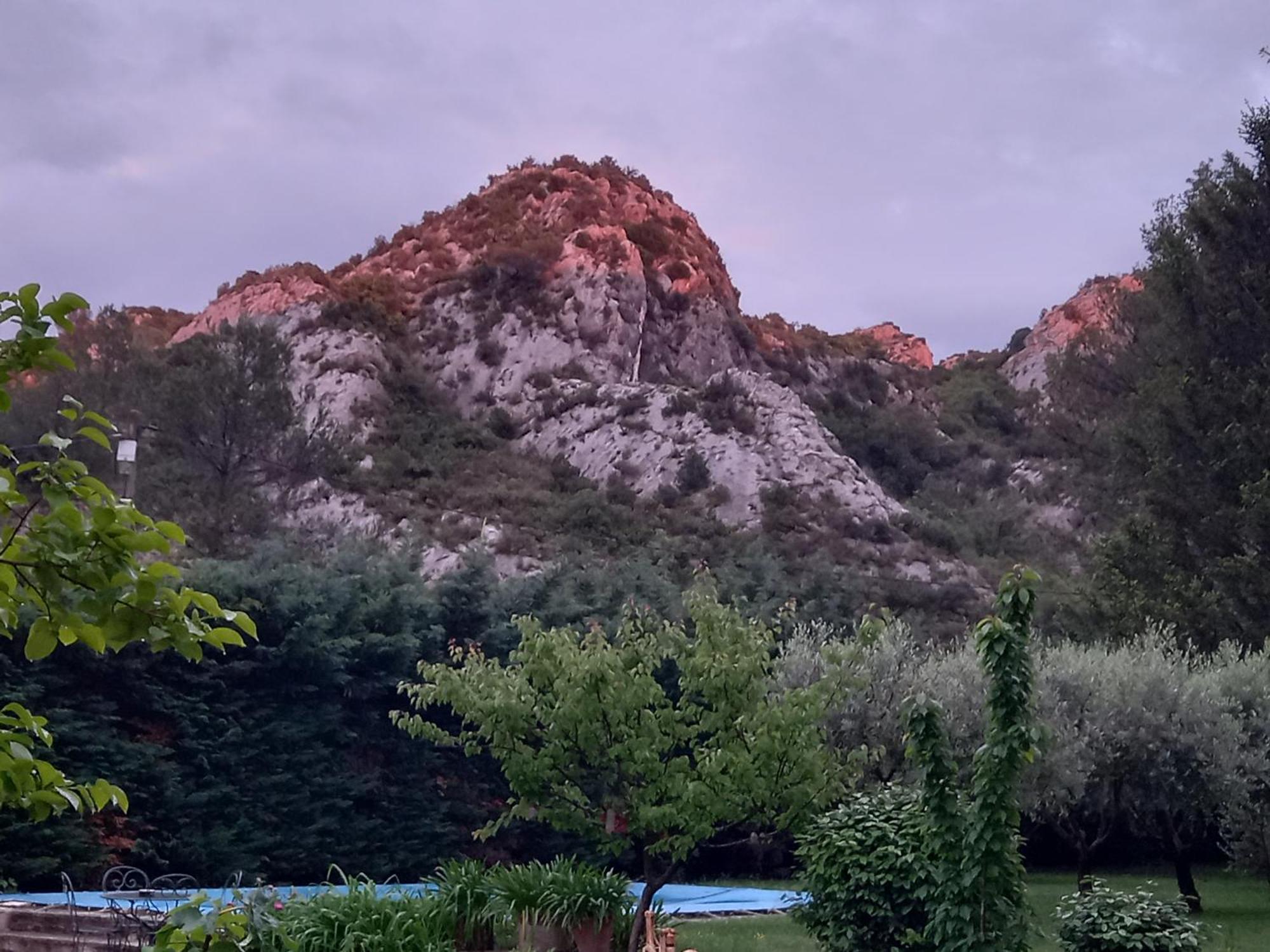 La Roulotte Du Petit Paradis Saint-Rémy-de-Provence Exteriör bild