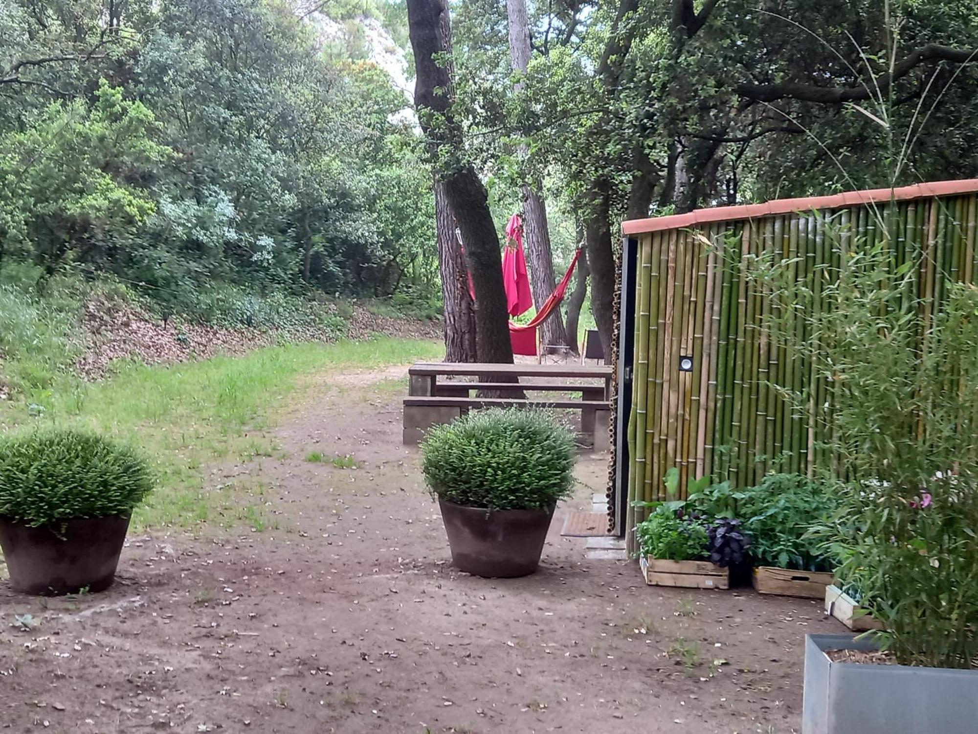 La Roulotte Du Petit Paradis Saint-Rémy-de-Provence Exteriör bild