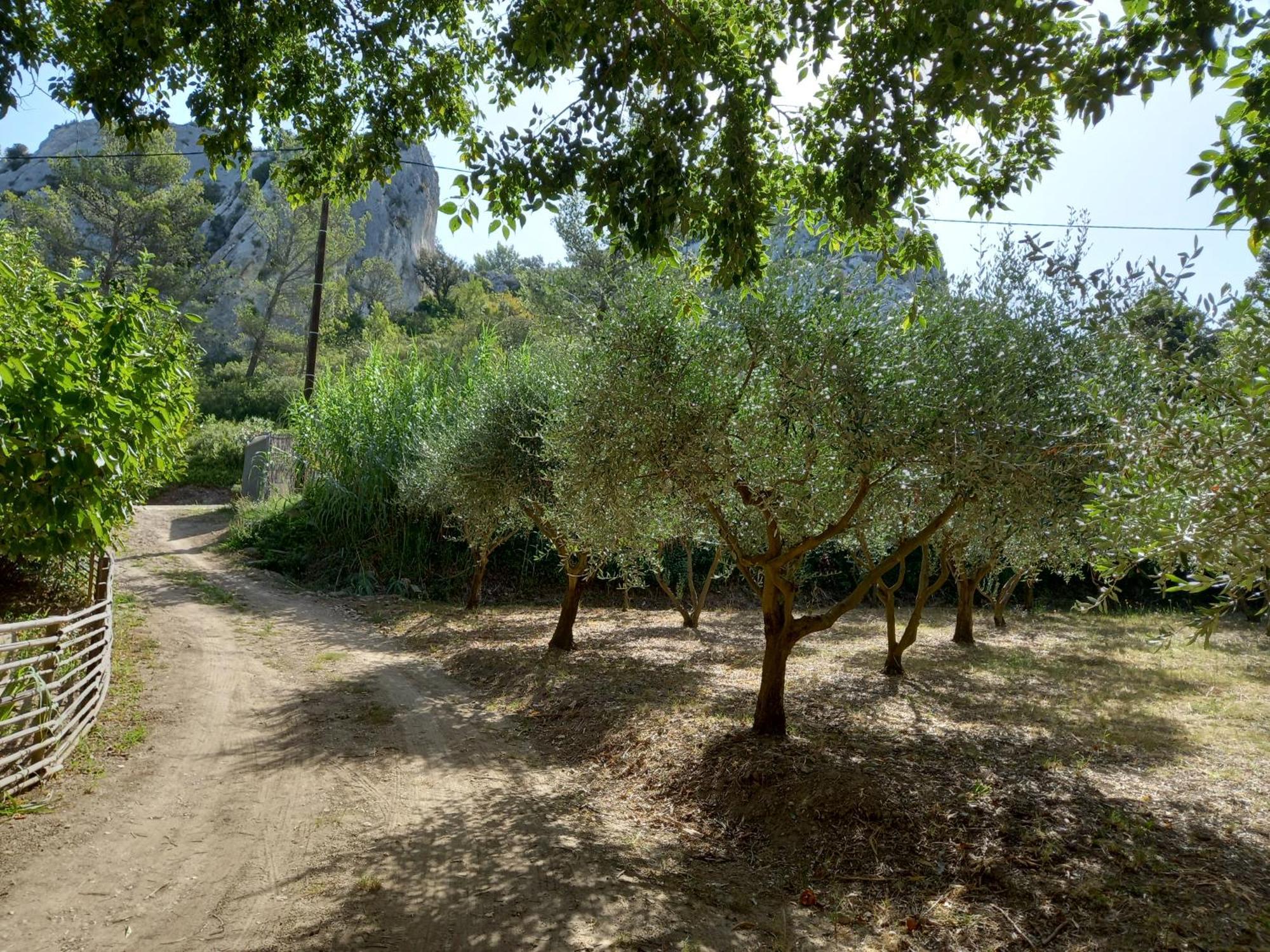 La Roulotte Du Petit Paradis Saint-Rémy-de-Provence Exteriör bild
