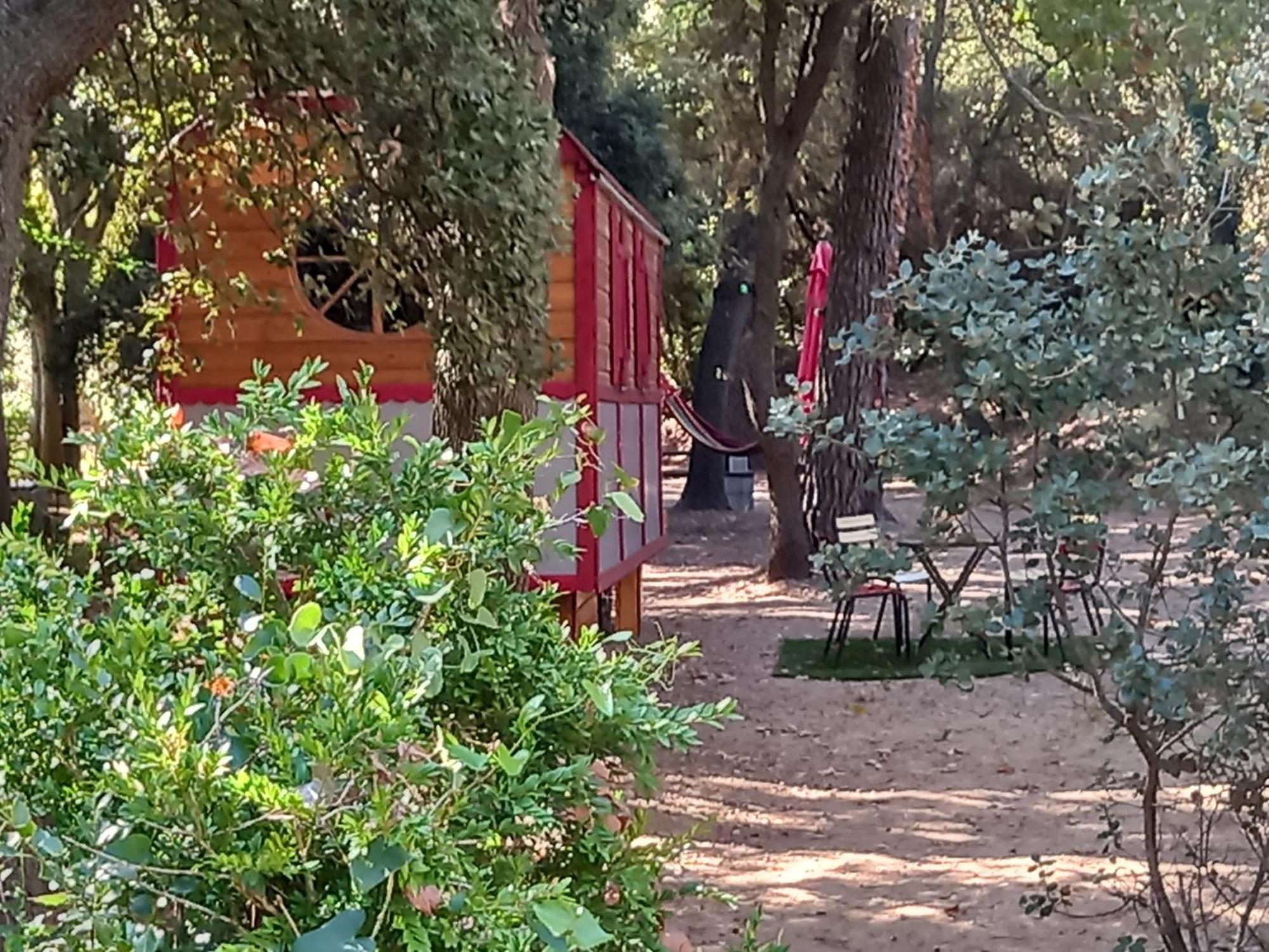 La Roulotte Du Petit Paradis Saint-Rémy-de-Provence Exteriör bild