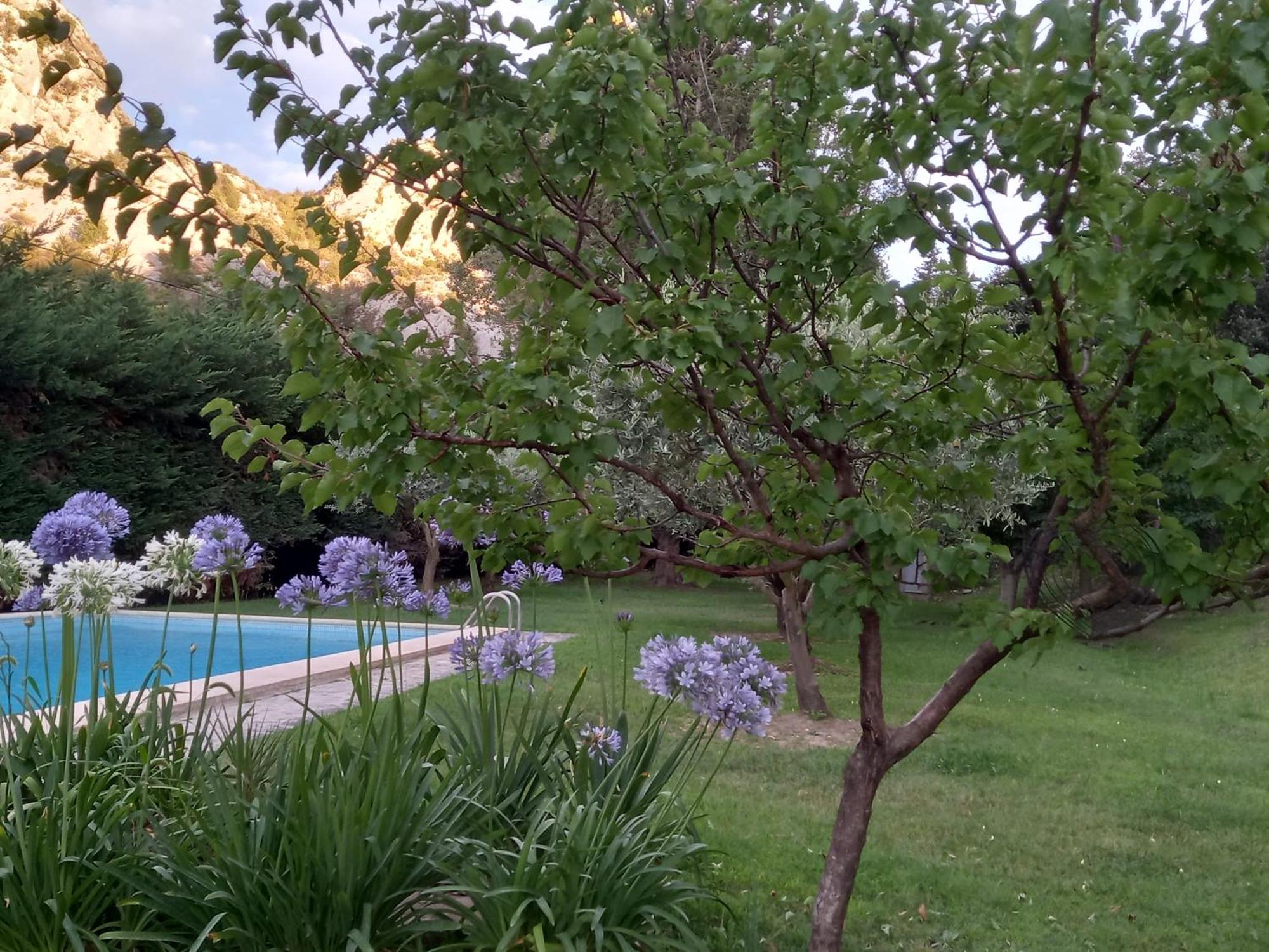 La Roulotte Du Petit Paradis Saint-Rémy-de-Provence Exteriör bild